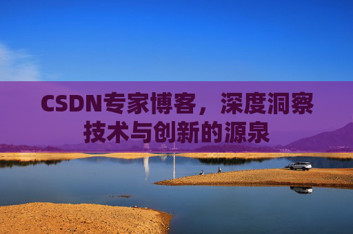 CSDN专家博客，深度洞察技术与创新的源泉